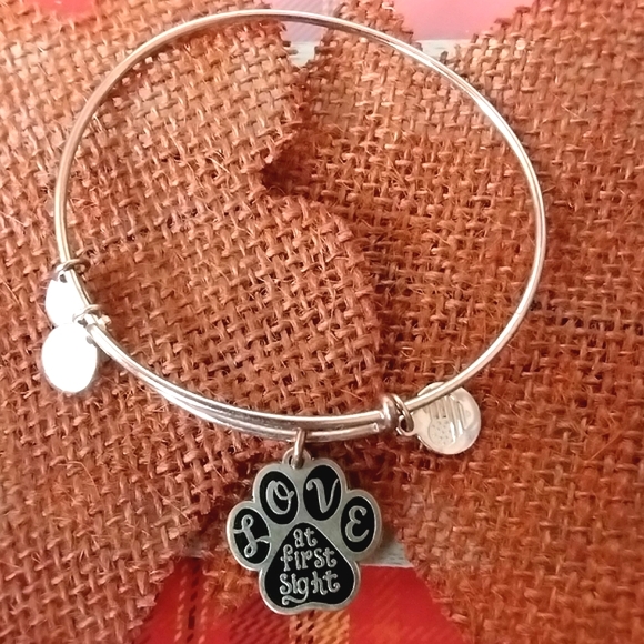 Alex and Ani Love at First Sight Pet Lover Bangle Charm Bracelet - Picture 4 of 8